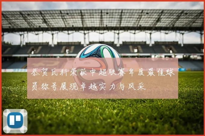 恭贺瓦科荣获中超联赛年度最佳球员称号展现卓越实力与风采