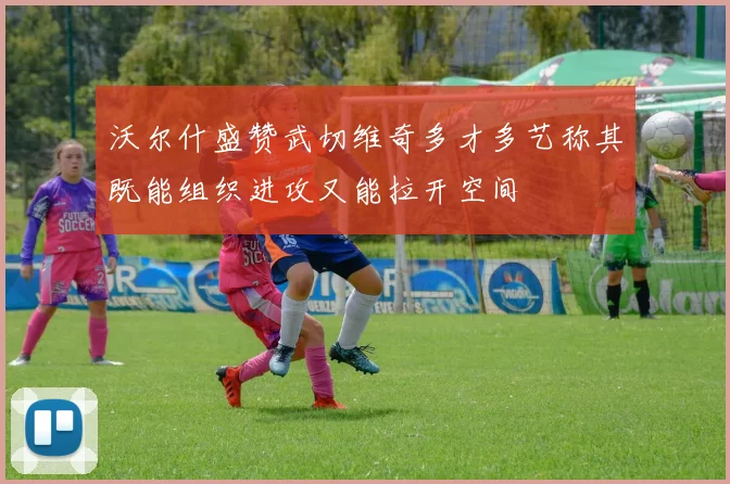 沃尔什盛赞武切维奇多才多艺称其既能组织进攻又能拉开空间