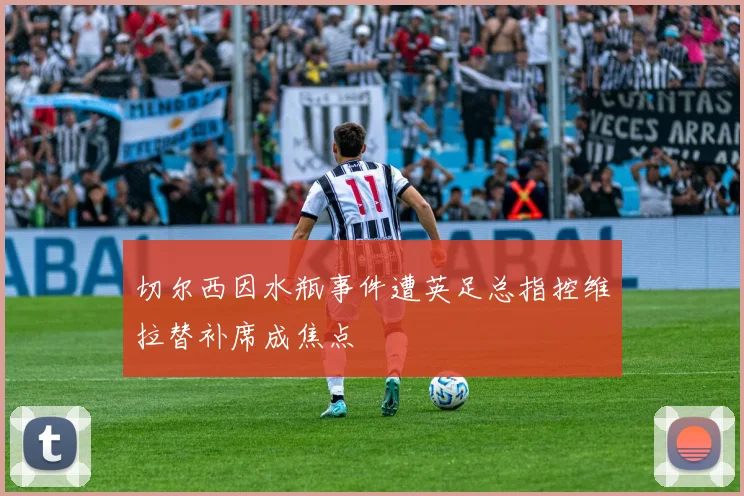 切尔西因水瓶事件遭英足总指控维拉替补席成焦点
