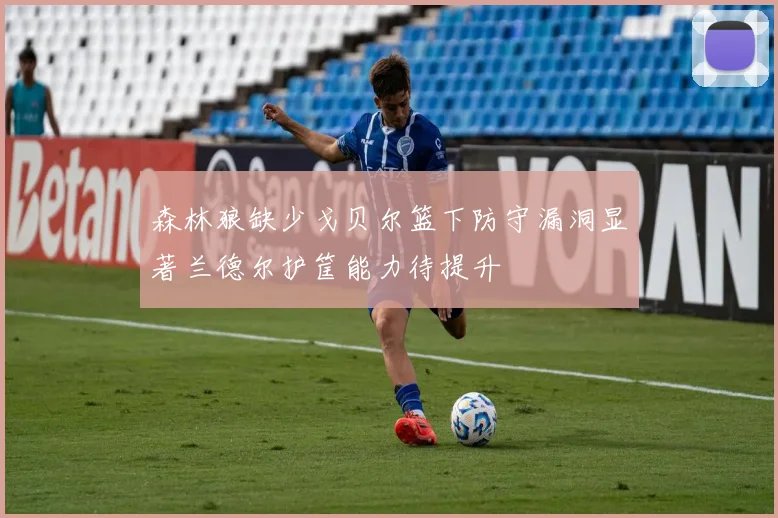 森林狼缺少戈贝尔篮下防守漏洞显著兰德尔护筐能力待提升