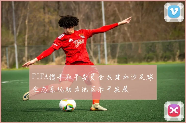 FIFA携手和平委员会共建加沙足球生态系统助力地区和平发展