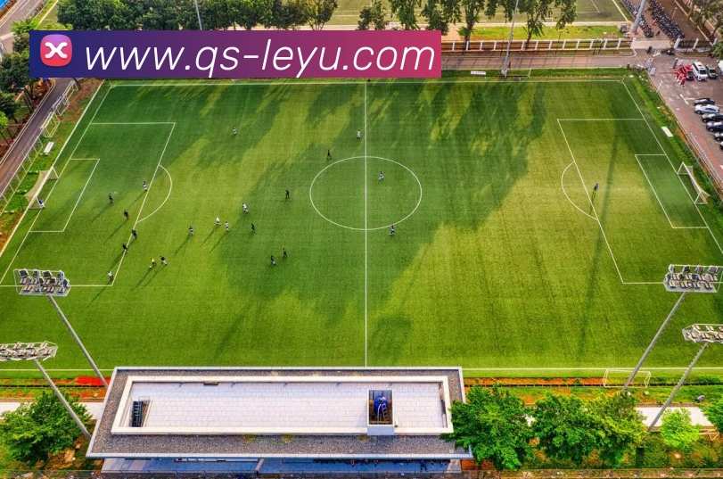 乐鱼体育品牌故事