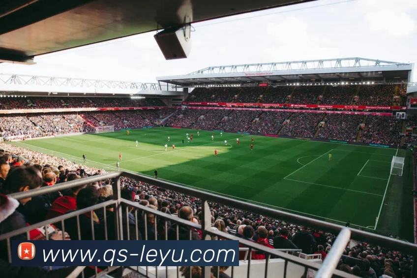 乐鱼体育服务体系