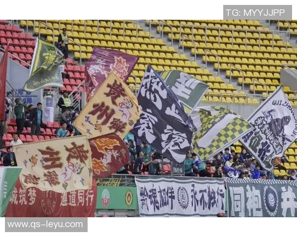 贵州筑城主场因观众投掷水杯被中足联罚款1万元引发热议